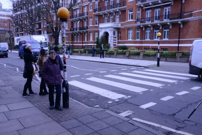 DSC_6161 (Large).JPG